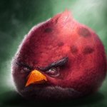 Big Red Bird — Sam Spratt