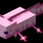 Axolotl minecraft template