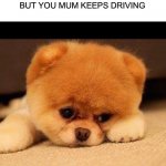 Drive by McDonald's, how sad | WHEN YOUR INCREDIBLY HUNGRY AND YOU PASS MCDONALD'S BUT YOU MUM KEEPS DRIVING | image tagged in sad dog | made w/ Imgflip meme maker