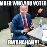 Joe Biden flyswatter | REMEMBER WHO YOU VOTED FOR!! BWAHAHAH!!! | image tagged in joe biden flyswatter | made w/ Imgflip meme maker