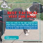 Best tactical vest for dogs