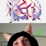 Anime cat doesn't work out