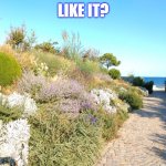 guess where | LIKE IT? | image tagged in guess where | made w/ Imgflip meme maker