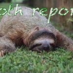 Sloth report