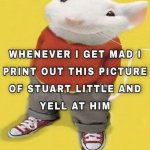 Stuart little meme