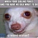u want water? | WHEN YOUR SIBLING PUKES AND YOU HAVE NO IDEA WHAT TO DO | image tagged in u want water | made w/ Imgflip meme maker