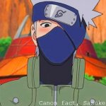 kakashi narwhal temp