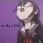 sis the sky is fallin meme