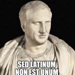 Ciero does know his Latin | POSSEDI XCIX PROBLEMATA; SED LATINUM NON EST UNUM | image tagged in cicero,latin,language,ancient rome | made w/ Imgflip meme maker