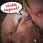 Sloth report