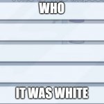 bruh | WHO; IT WAS WHITE | image tagged in among us meetings | made w/ Imgflip meme maker