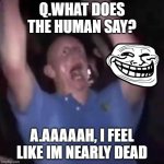 i think im an insane fox cuz i change my animal in aj from a wolf to a fox | Q.WHAT DOES THE HUMAN SAY? A.AAAAAH, I FEEL LIKE IM NEARLY DEAD | image tagged in crazy guy | made w/ Imgflip meme maker