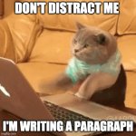 fast typing cat | DON'T DISTRACT ME; I'M WRITING A PARAGRAPH | image tagged in fast typing cat | made w/ Imgflip meme maker