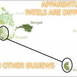Apparently Patels are different from other Gujjews | APPARENTLY PATELS ARE DIFFERENT; FROM OTHER GUJJEWS | image tagged in gujarati patels | made w/ Imgflip meme maker