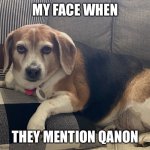 Judgment Beagle | MY FACE WHEN; THEY MENTION QANON | image tagged in grumpy beagle,judging you | made w/ Imgflip meme maker