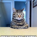 Take A Seat Cat | TAKE A SEAT JOHN WHAT DOES THIS "GRUMPY CAT" HAVE THAT I DON'T? | image tagged in memes,take a seat cat,grumpy cat | made w/ Imgflip meme maker