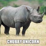 Rhino Tomorrow | CHUBBY UNICORN | image tagged in rhino tomorrow | made w/ Imgflip meme maker