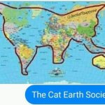 the cat earth society