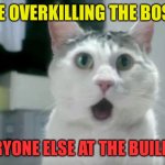xD | ME OVERKILLING THE BOSS EVERYONE ELSE AT THE BUILDING | image tagged in memes,omg cat | made w/ Imgflip meme maker
