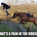 That's A Pain In The Horse! | THAT'S A PAIN IN THE HORSE! | image tagged in that's a pain in the horse | made w/ Imgflip meme maker