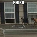 pedro | PEDRO | image tagged in pedro | made w/ Imgflip meme maker