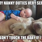 Pitbull | I TAKE MY NANNY DUTIES VERY SERIOUSLY, SO I WOULDN’T TOUCH THE BABY IF I WAS YOU. | image tagged in pitbull | made w/ Imgflip meme maker