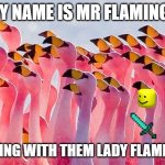 MR FLAMINGO (TEACHER) | MY NAME IS MR FLAMINGO; HANGING WITH THEM LADY FLAMINGOS | image tagged in circle of flamingo | made w/ Imgflip meme maker
