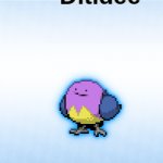 dittidee