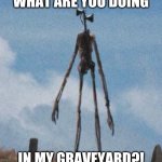 Maybe that's why he killed her... | WHAT ARE YOU DOING; IN MY GRAVEYARD?! | image tagged in siren head | made w/ Imgflip meme maker