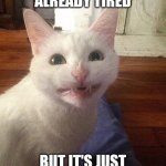 Smiling Cat Meme - Imgflip