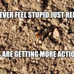 Lady Bugs | IF YOU EVER FEEL STUPID JUST REMEMBER; LADY BUGS ARE GETTING MORE ACTION THAN YOU | image tagged in lady bugs | made w/ Imgflip meme maker