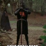 None shall pass. | NONE SHALL PASS. | image tagged in monty python black knight | made w/ Imgflip meme maker