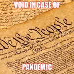 Void in case of Pandemic | VOID IN CASE OF; PANDEMIC | image tagged in us constitution | made w/ Imgflip meme maker