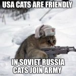 russian cat | USA CATS ARE FRIENDLY; IN SOVIET RUSSIA CATS JOIN ARMY | image tagged in russian cat | made w/ Imgflip meme maker