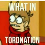 What in tordnation meme