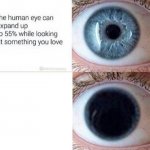 The human eye can expand up to 55%