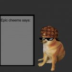 Epic Cheems says: