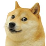 DOGECOIN