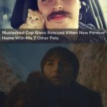 Kitten got new home (◠‿◠) | image tagged in you are a good man thank you,memes,funny,funny memes,cats,wholesome | made w/ Imgflip meme maker