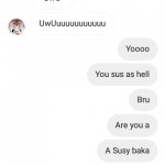 Bro you a Susy baka ? meme