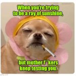 Okay. We can be friends. | When you're trying to be a ray of sunshine, but mother f**kers keep testing you. | image tagged in ray of sunshine,funny | made w/ Imgflip meme maker