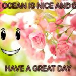 Have a great day tomoro is sunday | THE OCEAN IS NICE AND BLUE; HAVE A GREAT DAY | image tagged in pretty pink flowers | made w/ Imgflip meme maker