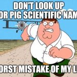 Never look it up | DON'T LOOK UP FOR PIG SCIENTIFIC NAME; WORST MISTAKE OF MY LIFE | image tagged in don't look up x worst mistake of my life | made w/ Imgflip meme maker