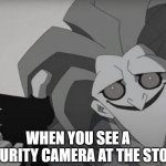 When you see a security camera at the store