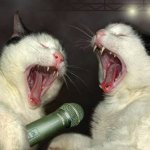 Singing Cats template
