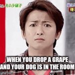 Idk | WHEN YOU DROP A GRAPE AND YOUR DOG IS IN THE ROOM | image tagged in gifs,funny memes | made w/ Imgflip video-to-gif maker