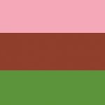 Gynesexual Pride Flag Announcement Template