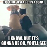 That's What Friends Are For | IT'S TRUE. TESLA BOT IS A SCAM I KNOW. BUT IT'S GONNA BE OK, YOU'LL SEE | image tagged in pals,tesla bot,tesla,funny | made w/ Imgflip meme maker