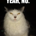Judgemental cat | YEAH, NO. | image tagged in judgemental cat | made w/ Imgflip meme maker