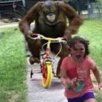 Bike Monkey meme